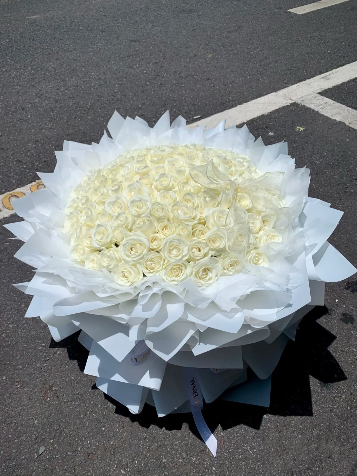 Snowfall of Eternity