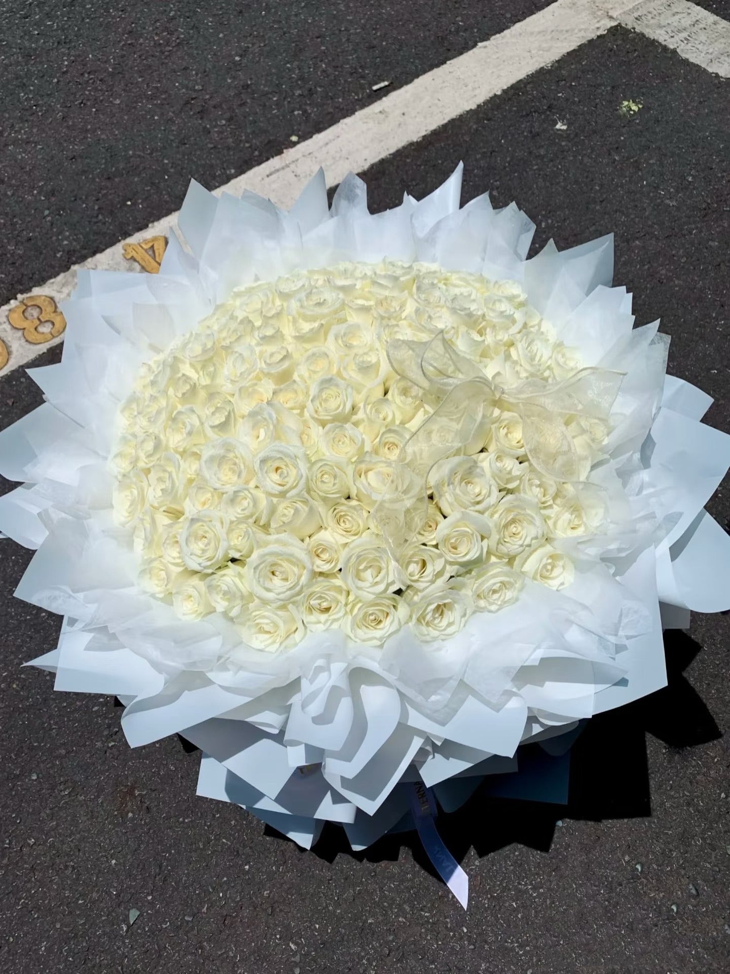 Snowfall of Eternity